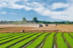 绿色引领，以科技力量守护生态与农业共生
