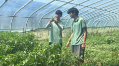 齐鲁理工学院师生科技助农 助力乡村振兴